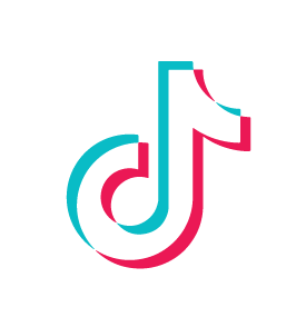 icon tiktok