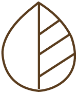 Arthemis Skincare - SLIMMING TREATMENT